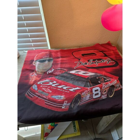 Dale Earnhardt jr banner Budweiser 25x30 - Picture 1 of 8